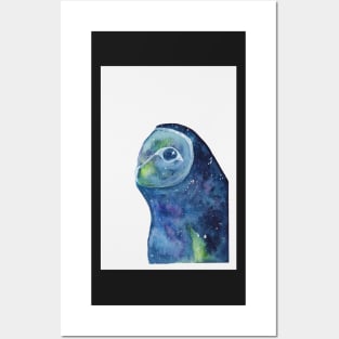 Galaxy Barn Owl Posters and Art